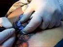 PLUMA SAGRADA ESTUDIO