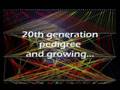 videos de Trapia Video V6.0.wmv
