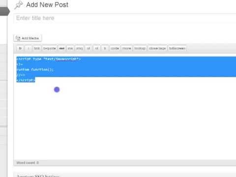 how to javascript wordpress