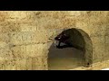 eckObeaT - Revoluti[ON]