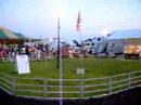 Pig Races Pig Races