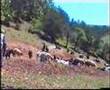 Tokat,Reşadiye,Büşürüm-3