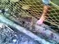 pasqualino scafati missione pallone rambo ridicolo grezzo pasqualino scafati missione pallone rambo ridicolo grezzo