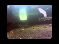 Laksetrappen i Bjerkreim/salmon stairs