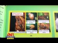 Nation Report: Thais win prizes at US top science..