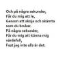 På Några Sekunder