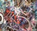 calzoncillo graff