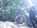 Manzanita trail.