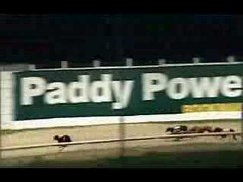 paddy power racing