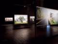videos de Landscape: The Eternal Return de José María Mellado