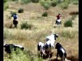La vacas, siles 2007 La vacas, siles 2007