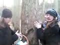 Wild mushroom hunt - selfsufficientish.tv Wild mushroom hunt - selfsufficientish.tv