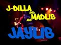 Madlib the Badkid in Holland Madlib the Badkid in Holland