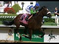 best-horse-video-ever.html