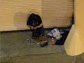 CrackHead in San Francisco