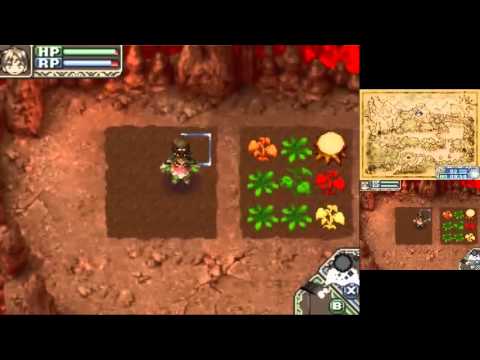 how to expand house in harvest moon ds