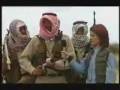 stupid terrorist (Orginal)