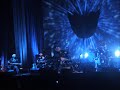 Foo Fighters - Marigold