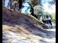 videos de en el calvario