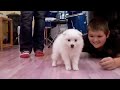 CUTEST PUPPY EVER!!