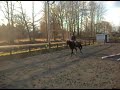 Galoppbommar