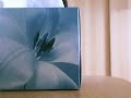 Kay Tse &egrave;&not;�&aring;&reg;?&ccedil;�&ordf; - &aring;&frac34;?&ccedil;&ordf;?&ccedil;?&yen;&aring;&middot;&plusmn; Rear Window Pal