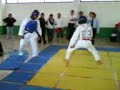 tae kwon do puebla