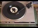 caninus wolfpig pit bull death metal dog thrash