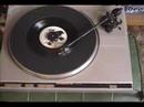 Caninus Wolfpig Pit Bull Death Metal Dog Thrash