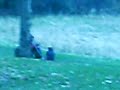Quad sledding Wrecks