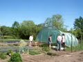 hoe verzet ik mijn serre, how i move my plastic greenhouse