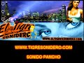 sonido pancho 2 tigre sonidero