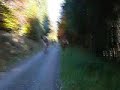 Joe Mills - That Changes Everything - Billy Currington - Cover - von Hauzenberg bis Bischofsreuth