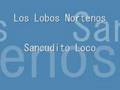 Los Lobos Nortenos Sancudito Loco Video and Lyrics