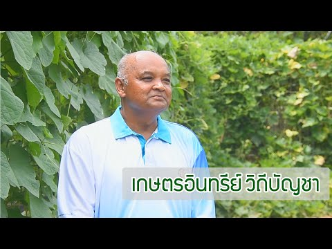 รายการเกษตรสาร ประจำวันที่ 22 มิถุนายน 2567