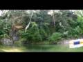 bungee Jump in Nanimo!