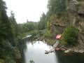 videos de bungee Jump in Nanimo!