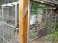 videos de Bird1