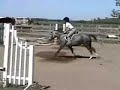 stonewall-thistle.html