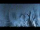 listen to the shouting cornstalk *  rufendes Getreide