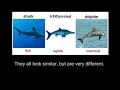 READ DESCRIPTION: Please watch the video in its entirety- I know it starts off slow and technical. I discuss the actual, oft unmentioned reason every scientist accepts evolution. Ignorance is no longer an excuse. Special thanks to Greenman3610 for providing the audio track in the background. If you're remotely interested in global warming, subscribing to him is not an option, its a requirement. -The C14 tree/etc example is just to show the strengths of independent methods. Embryology video ...