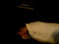 MOV01873.3GP