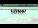 T�hdenlento