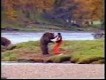 Pelea de oso y Hombre