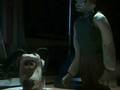 WALLACE AND GROMIT 2