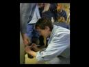 veterinari