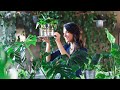 Homepage Plants &Love 19 Jh5oX0VRnzk