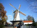 Windmill at the Rotte
