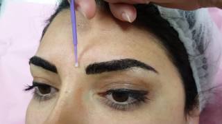 Full and Wonderful Microbladed Brows by El Truchan