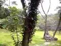 休閒好去處 - 緣道觀音廟